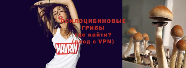 ПСИЛОЦИБИНОВЫЕ ГРИБЫ Балабаново