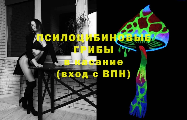 ПСИЛОЦИБИНОВЫЕ ГРИБЫ Балабаново