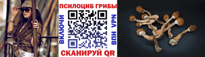 Галлюциногенные грибы GOLDEN TEACHER  Кировск 